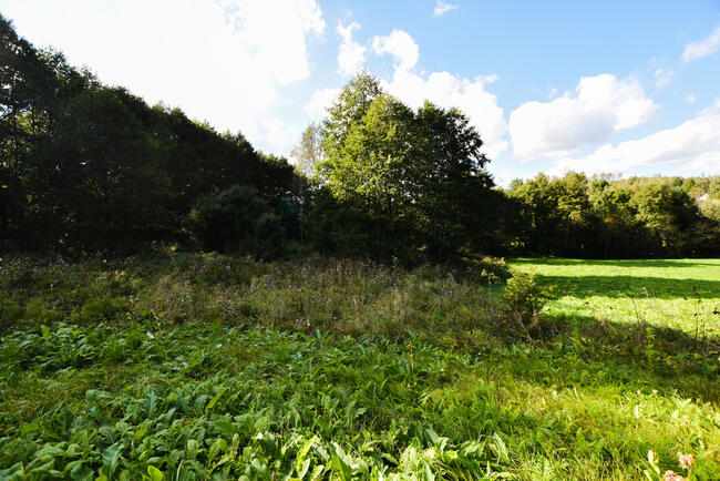 Działka w Błędowej Tyczyńskiej