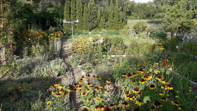 sprzedam działkę ROD