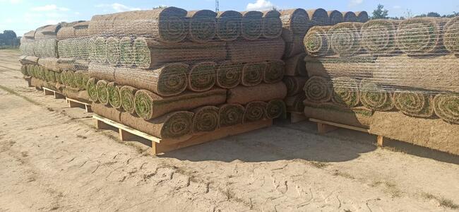 Trawa z Rolki / Wysoka Jakość / Producent