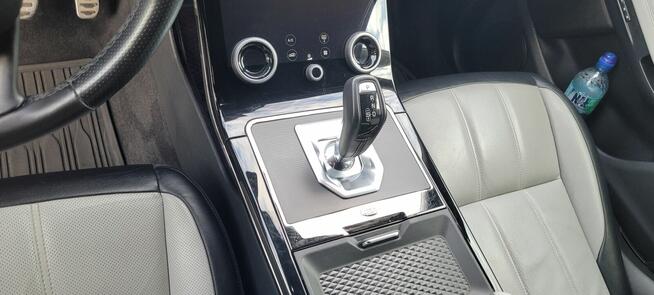 Pan Dywan - Pranie Dywanów, Tapicerki Meblowej