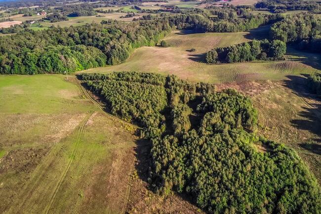 Ostatnie dostępne działki w pobliżu jeziora Dadaj!