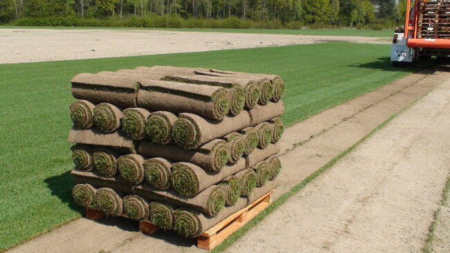 Trawa z Rolki / Wysoka Jakość / Producent