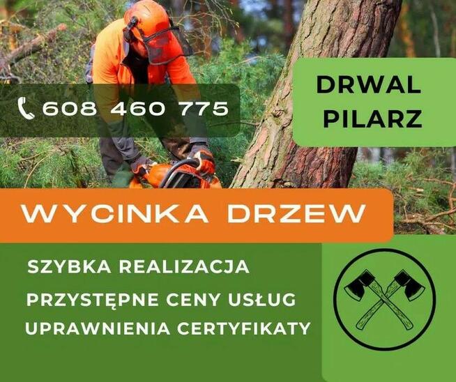 Wycinanie drzew, krzewów, wycinka, ścinka, drwal, arborysta