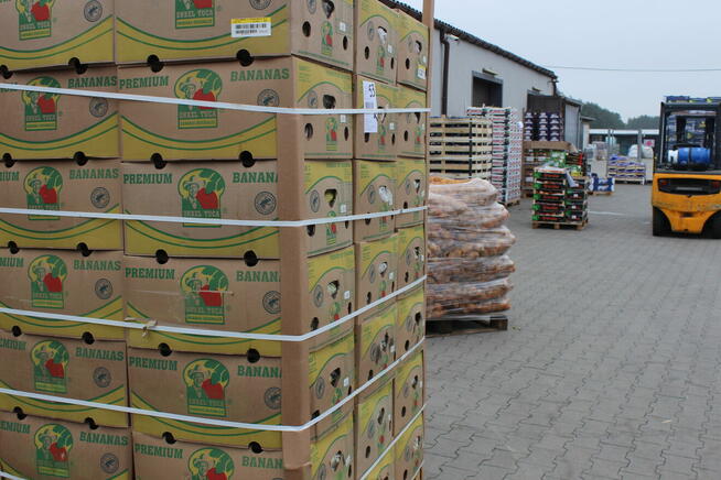 Przedstawiciel handlowy ,Lubuskie, Zachodniopomorskie