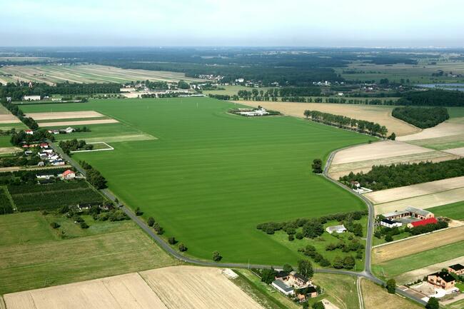 Trawa z Rolki / Wysoka Jakość / Producent