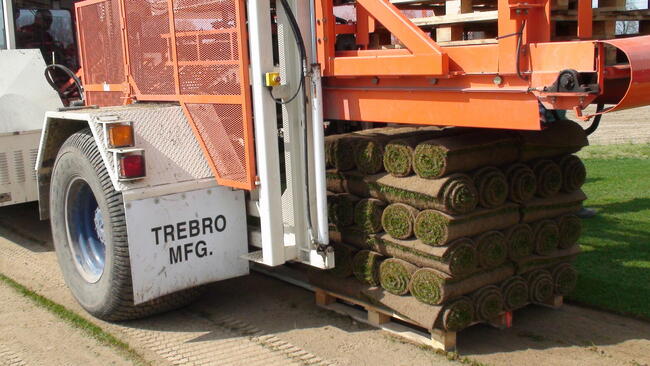 Trawa z Rolki / Wysoka Jakość / Producent