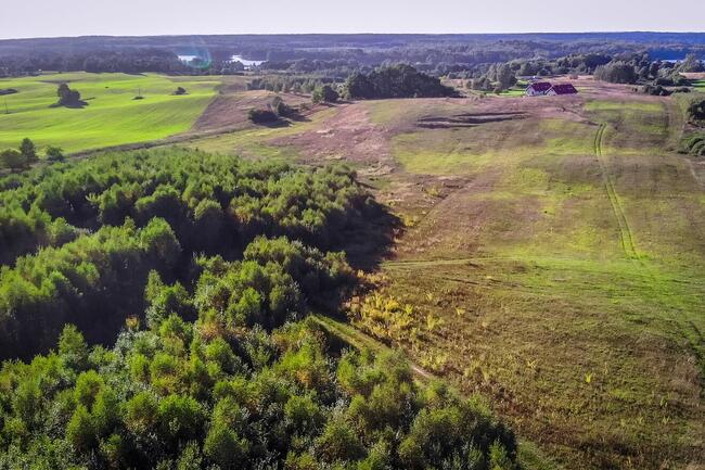 Ostatnie dostępne działki w pobliżu jeziora Dadaj!