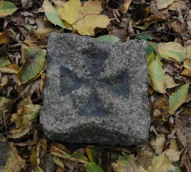 Geodeta, pomiar, wytyczenia, mapy, granice, działki Żywiec