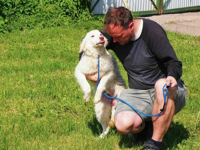 Cudowny wesoły młodziak kochający ludzi BŁAGA o domek
