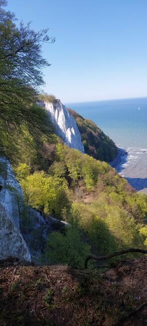 wrzeslaw przewodnik wycieczki