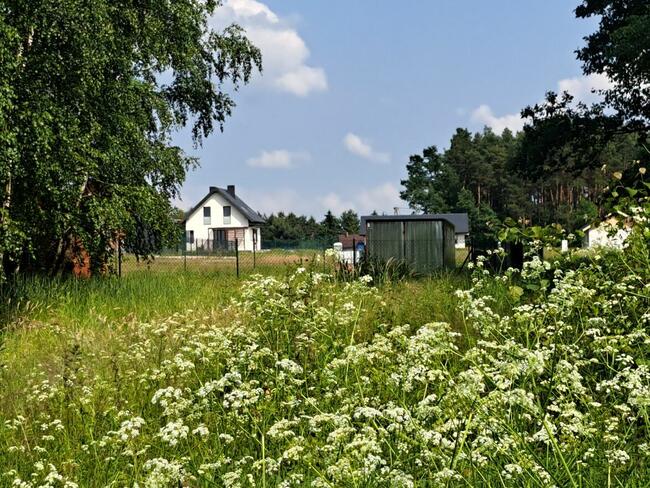 Działka pod zabudowę w klimacie leśnym