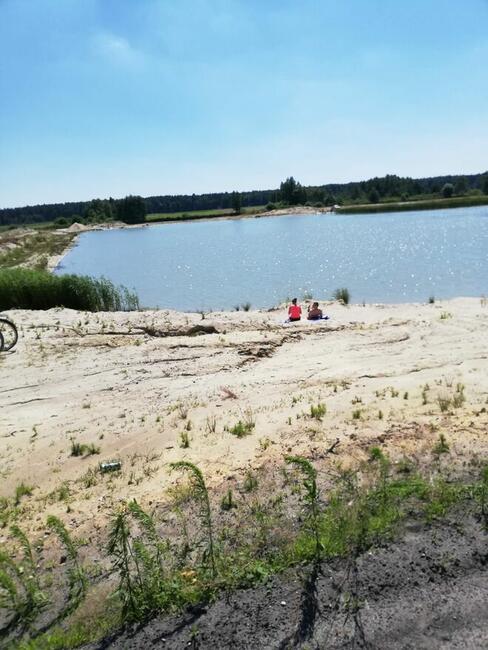 Działka pod zabudowę w klimacie leśnym