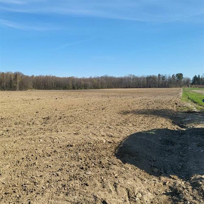 Trzy działki siedliskowe - Kraina w Kratę