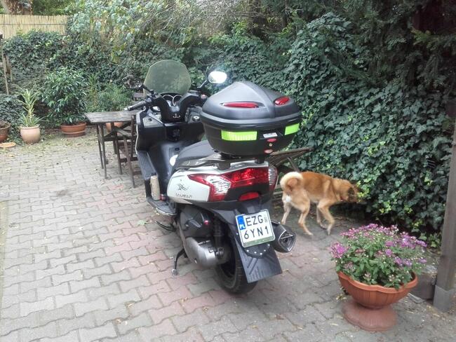 Sprzedam Maxi Skuter Kymco Downtown 300 i ,ABS -2009 r.