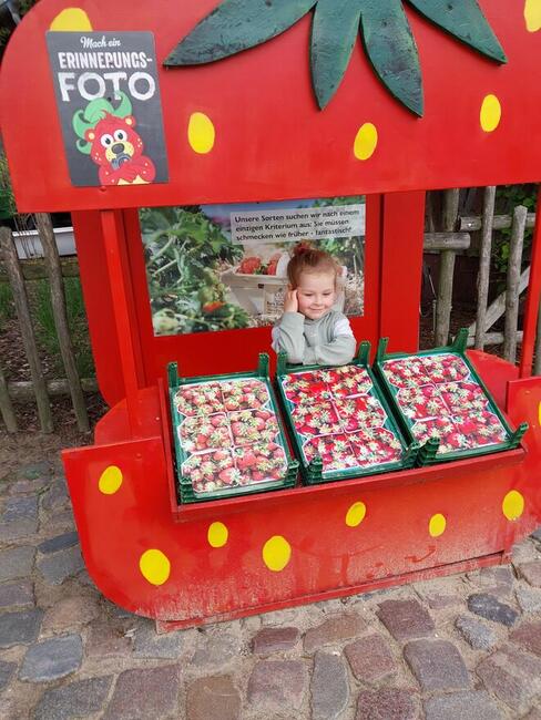 wrzeslaw przewodnik wycieczki