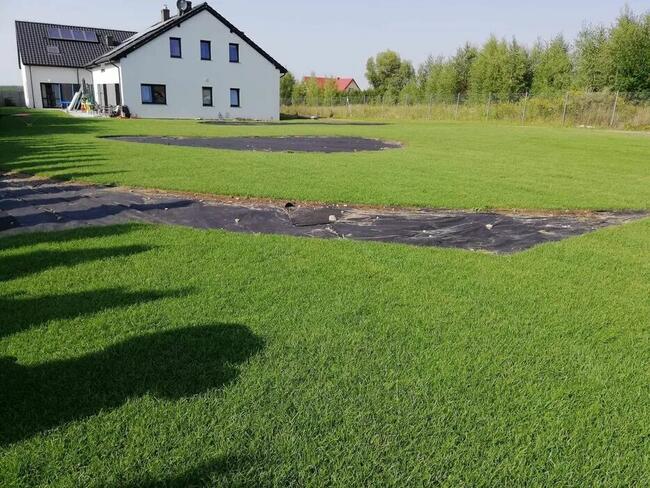 Usługi Ogrodnicze - Kompleksowe zagospodarowanie terenu