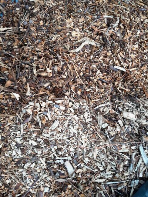 Usługa Minikoparką