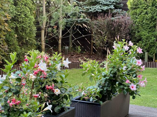 Dom Józefosław gm. Piaseczno,