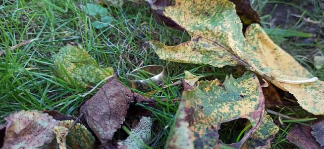 Wykrywacz metali usługi zgubiona obrączka