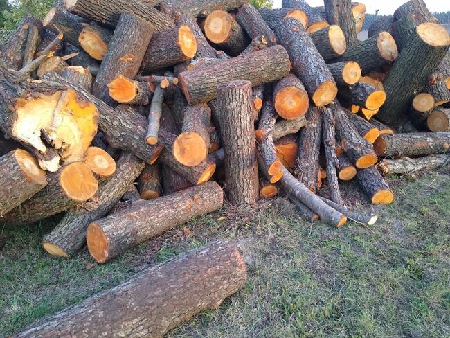 Sprzedam drewno opałowe, kominkowe