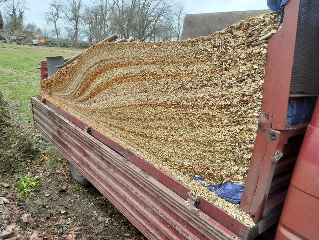 Usługa Minikoparką