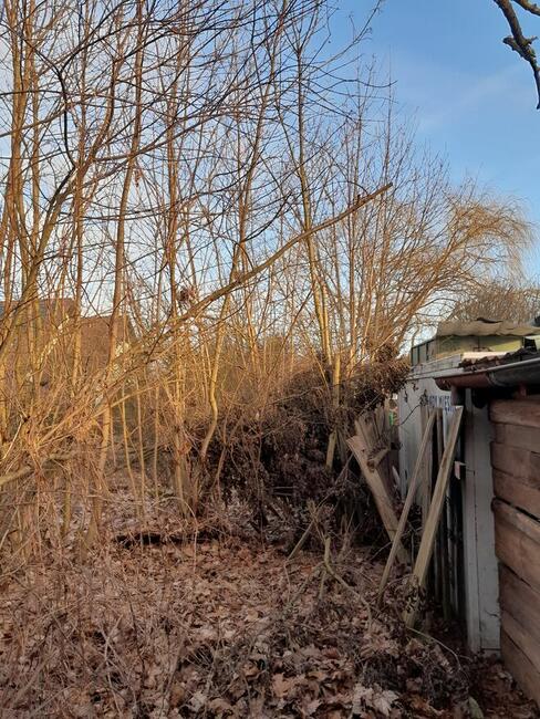 Usługa Minikoparką