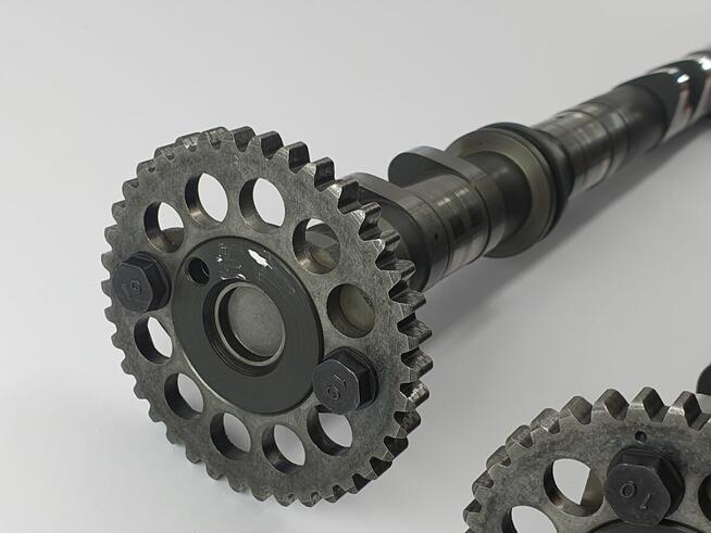 Walek Rozrzadu Walki Yamaha Rx1 Warrior Vector Apex Mountain