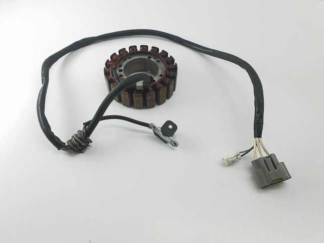Stator Stojan Alternator Yamaha Rx1 Warrior Vector Mountain