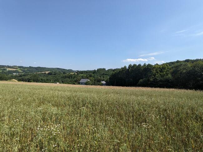 Braciejowa - działka na sprzedaż numer B – 222.2 G