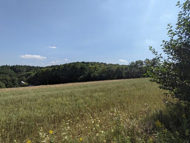 Braciejowa - działka na sprzedaż numer B – 222.2 G