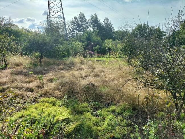 PILNE - SPRZEDAM WYJATKOWO DUZE ROD 530m2 Wroclaw