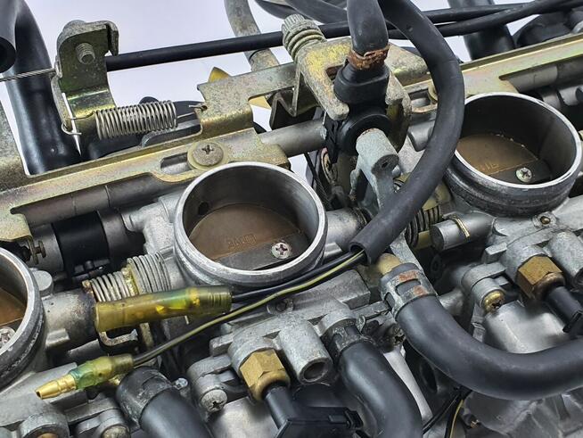 Gaznik Gazniki Yamaha Rx1 Warrior Mountain Apex