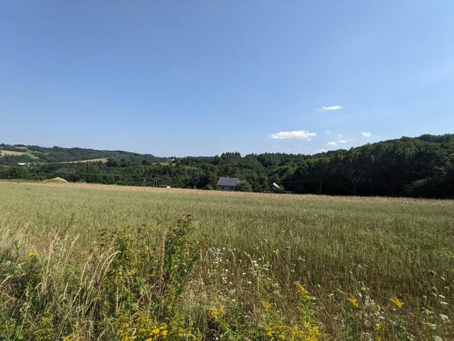 Braciejowa - działka na sprzedaż numer B – 222.2 G