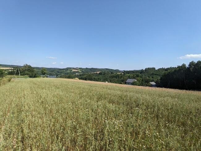 Braciejowa - działka na sprzedaż numer B – 222.2 G