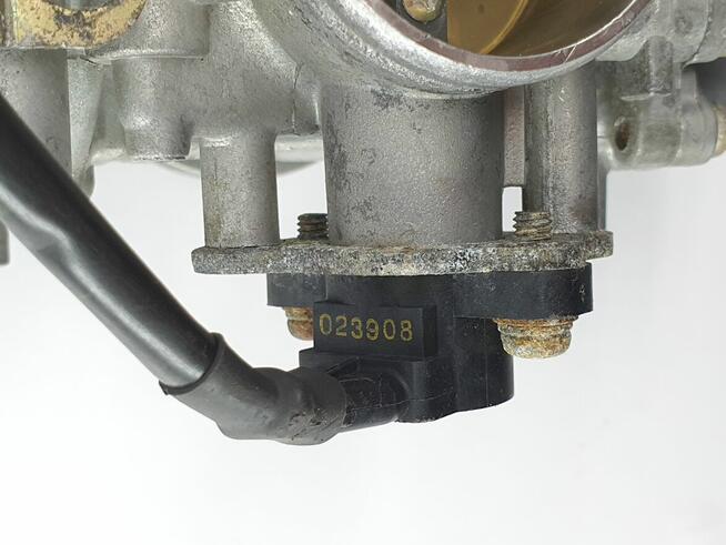 Gaznik Gazniki Yamaha Rx1 Warrior Mountain Apex