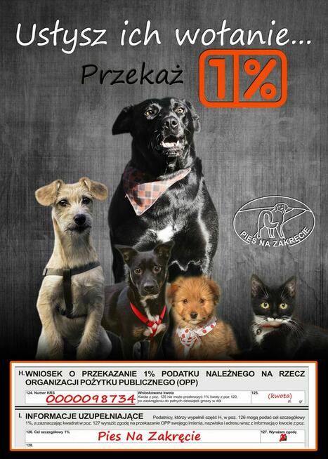 Projektowanie plakaty, ulotki, retusz zdjęć, pisanie tekstów
