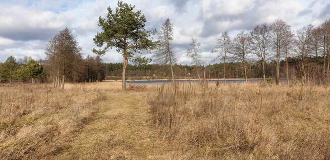 Działka budowlana o pow. 3663m2, Miłuki