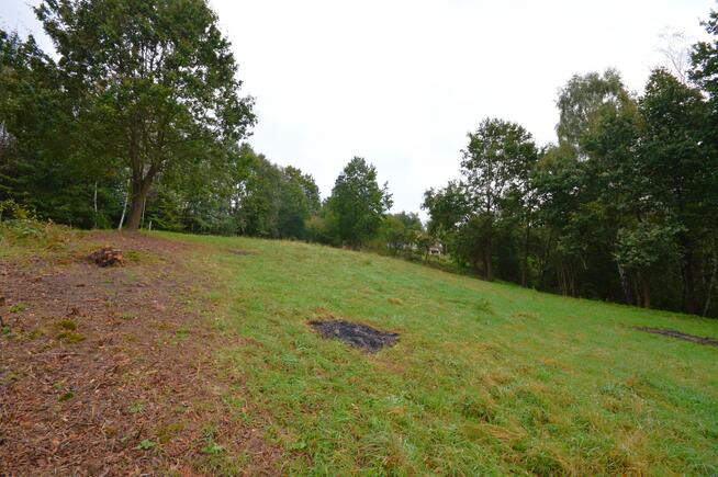 Działka rolno-budowlana Nowy Wiśnicz