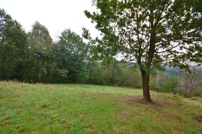 Działka rolno-budowlana Nowy Wiśnicz