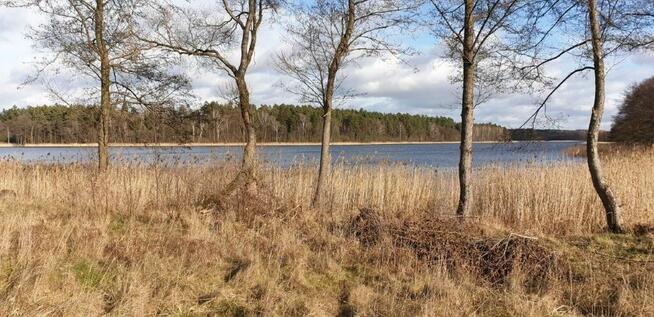 Działka budowlana o pow. 3663m2, Miłuki