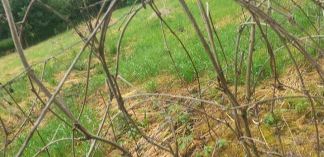 Działka budowlana o pow. 20723m2,Cząstków Mazowiecki