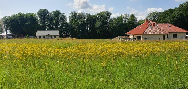 Działka nad jeziorem Miedwie - Wierzchląd