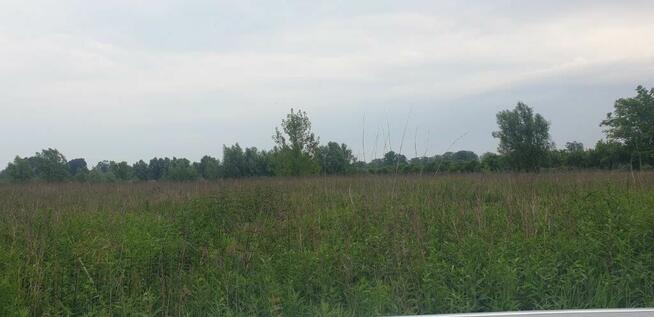 Działka budowlana o pow. 20723m2,Cząstków Mazowiecki