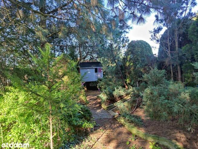 Dom 148,4 m2 z pieknym ogrodem z basenem