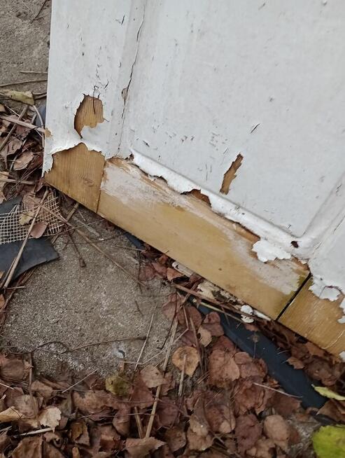 Drzwi stare do renowacji