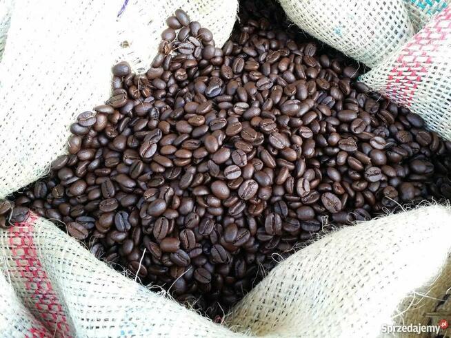Palarka Kawy 3-5KG - Prażalnik bębnowy -Pomysł na Biznes-