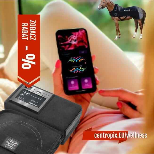 KLOUD VET SET BEMER EVO BIOMAG w 48h dostawa