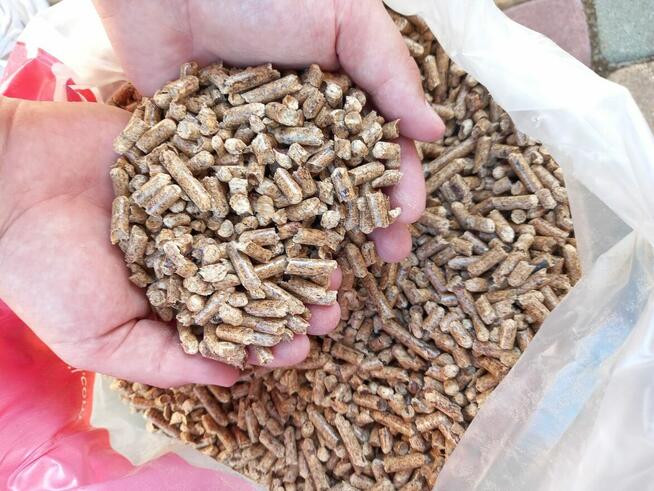 Pellet Karpowicz tylko dla firm