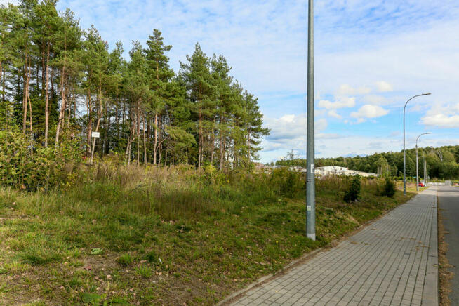 Duża działka pod zabudowę usługową i mieszkaniową.