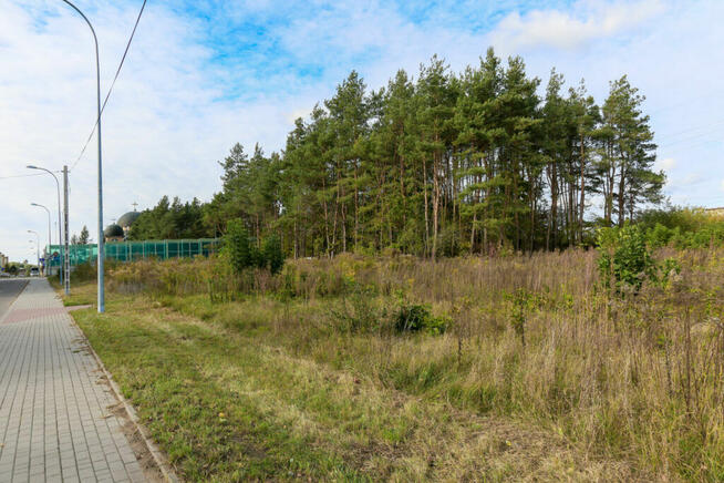 Duża działka pod zabudowę usługową i mieszkaniową.